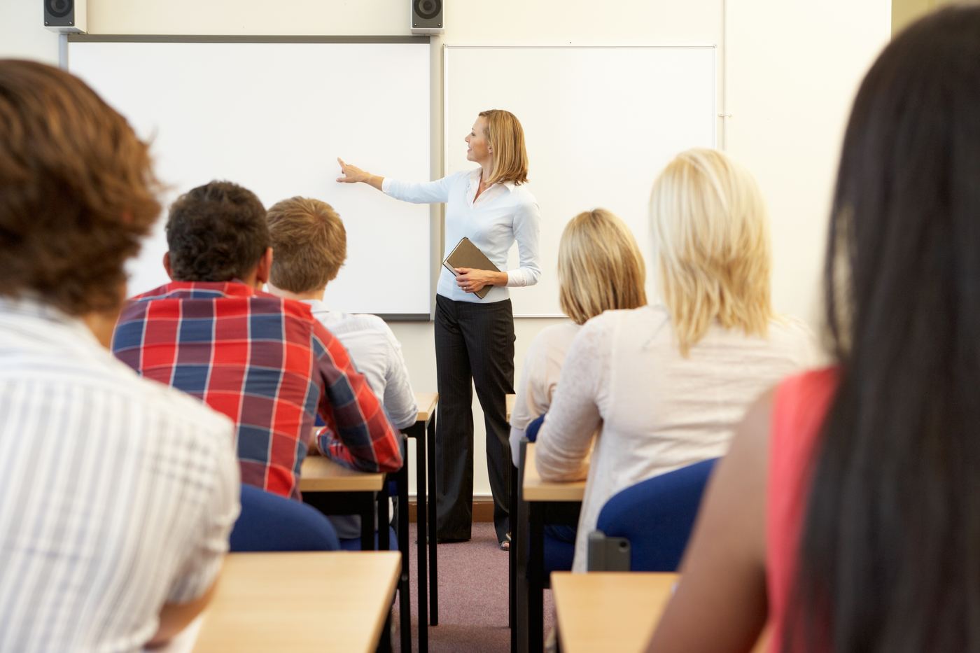 A trainer leading a session for school staff